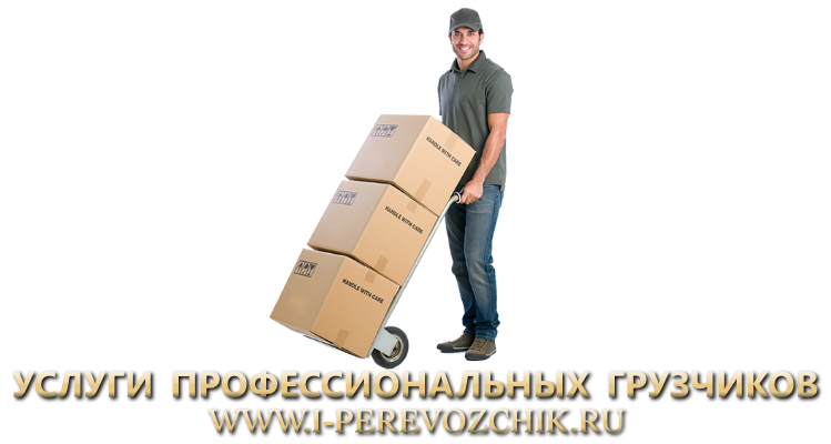 proffessionalnue-gruzchiki-i-perevozchik-pf-204