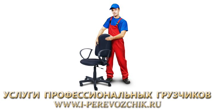proffessionalnue-gruzchiki-i-perevozchik-pf-205
